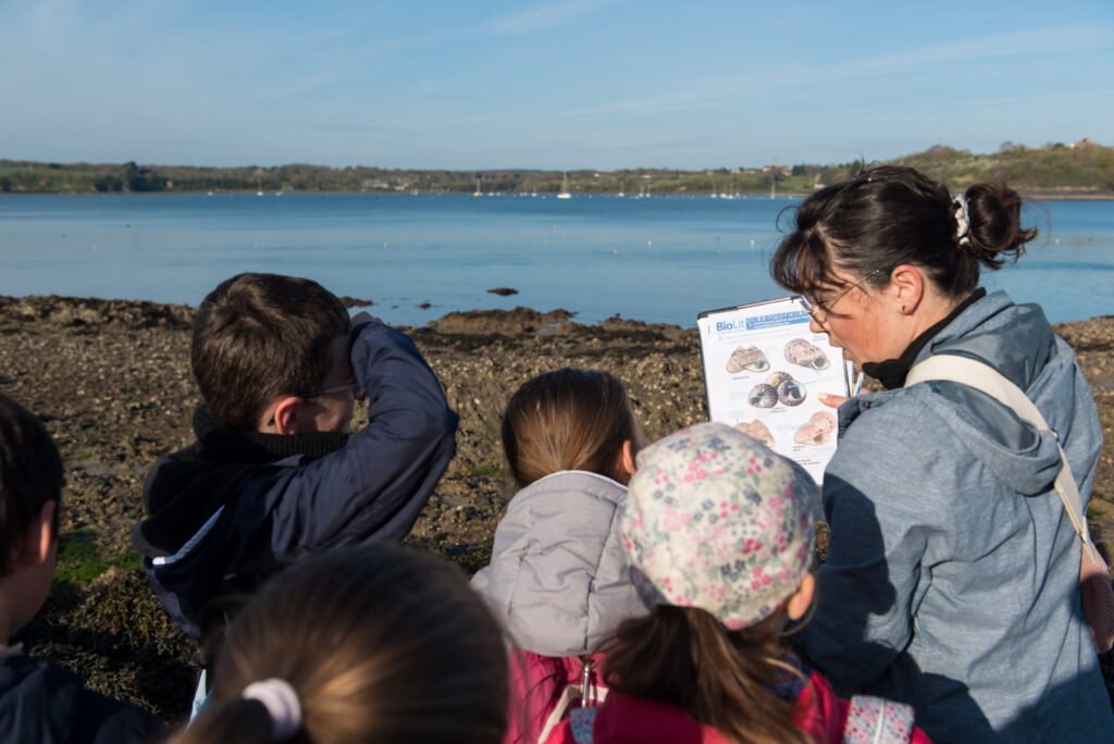 observation-de-l-estran-cogitocean-partenaire-biolit