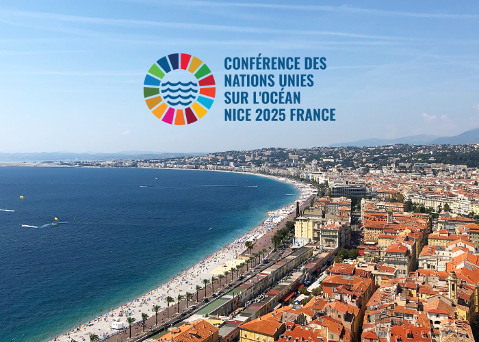 Lire la suite à propos de l’article Que faut-il retenir de la 3e conférence des Nations Unies sur l’Océan ?
